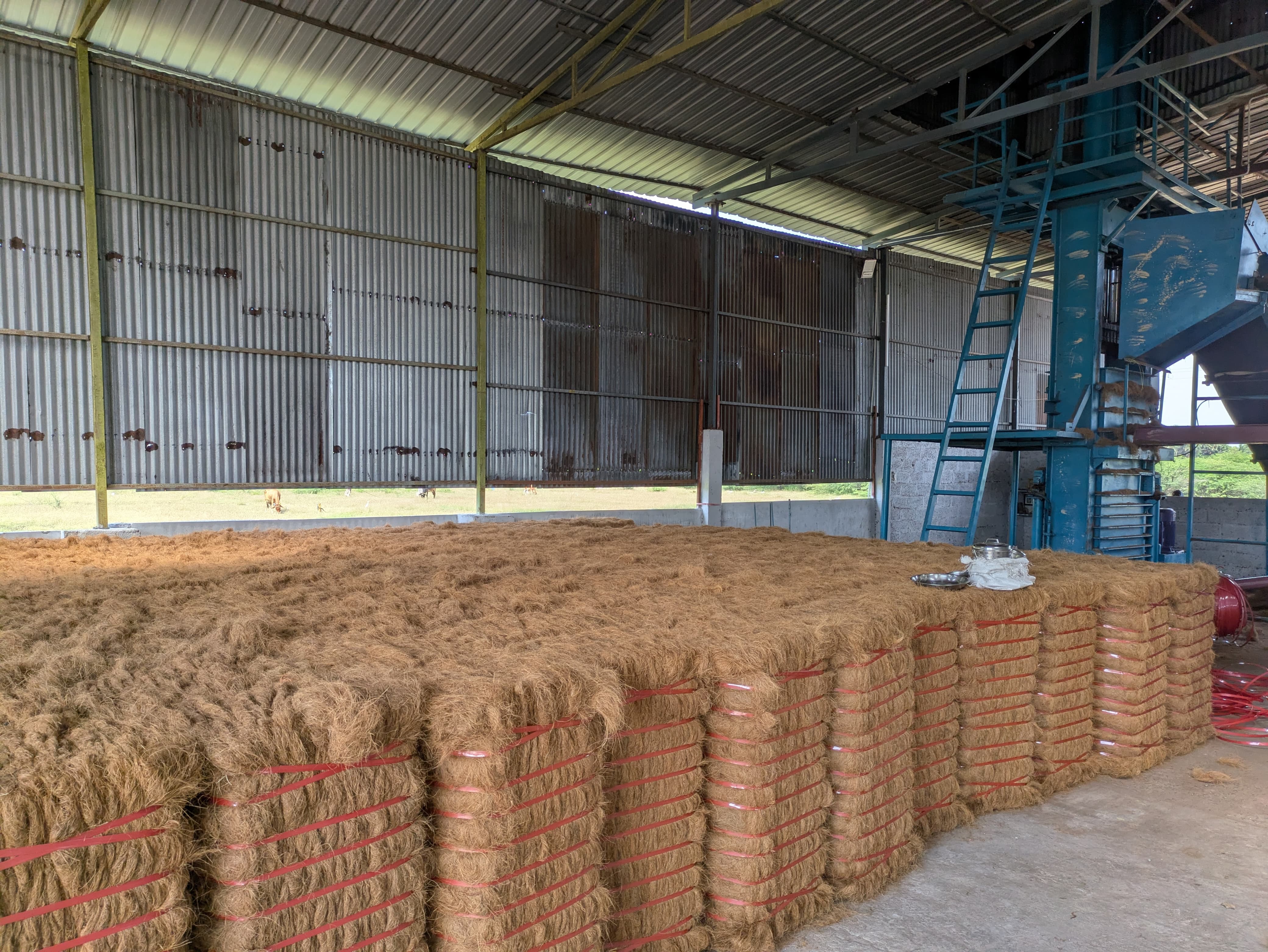 bg_sec_img_home1_page1_sctn6_z3